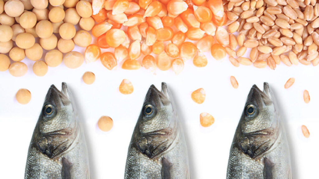 Plant-based Fish Feed Market– Detailed Survey On Key Trends, Leading Players And Revolutionary Opportunities 2026