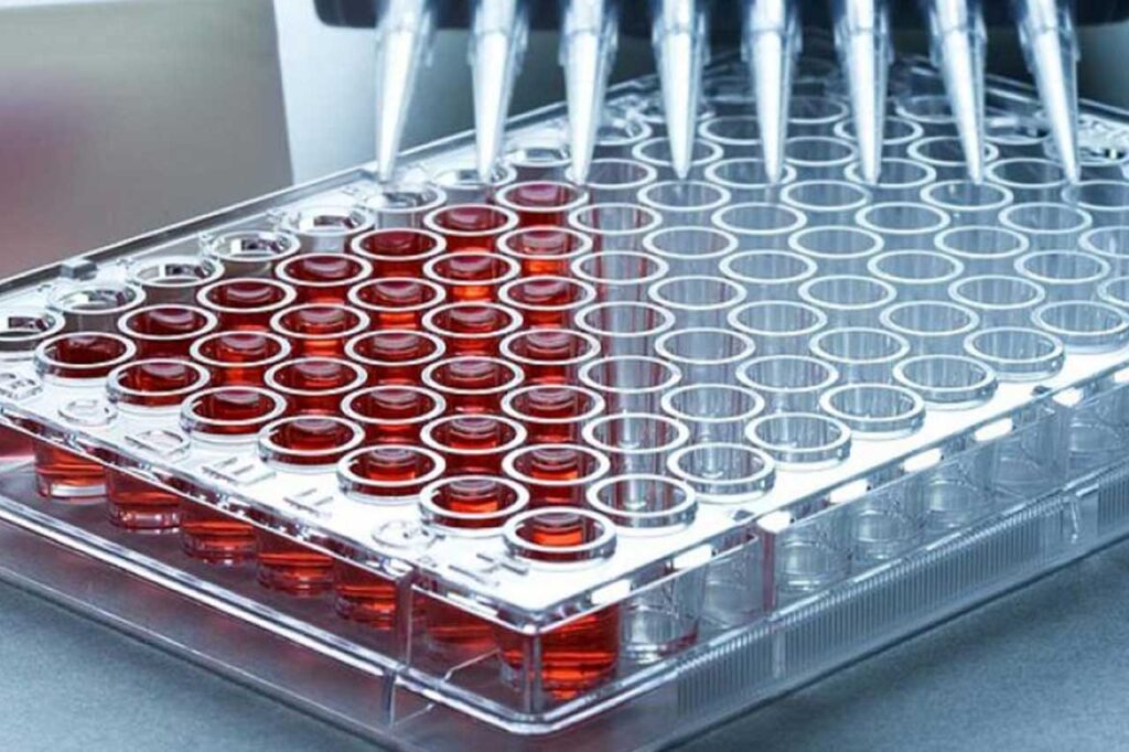 Microplate Instrumentation and Supplies Market 2018 Key Players, SWOT Analysis, Key Indicators and Forecast to 2027